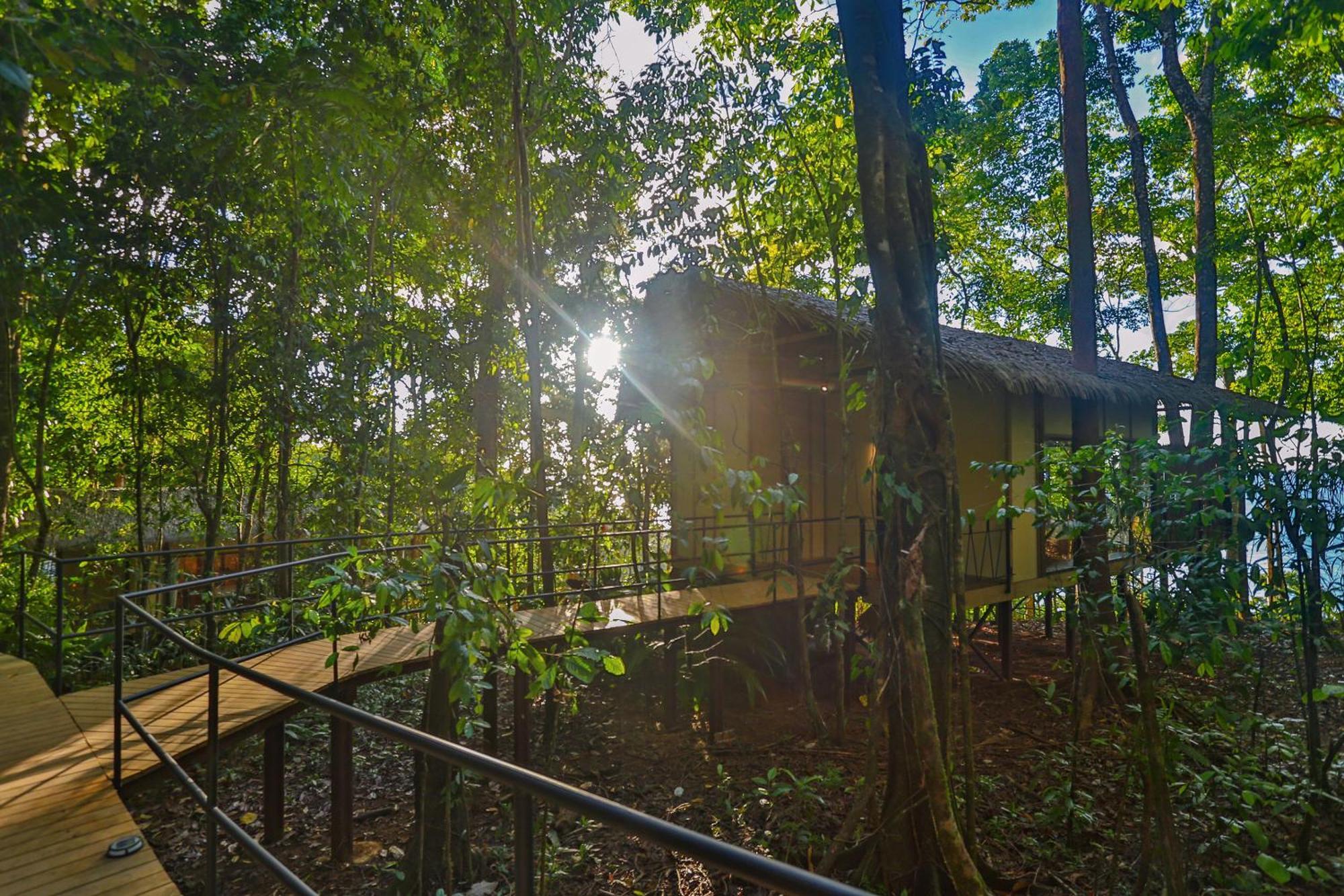 Corcovado Wilderness Lodge By Scp San Pedrillo Экстерьер фото