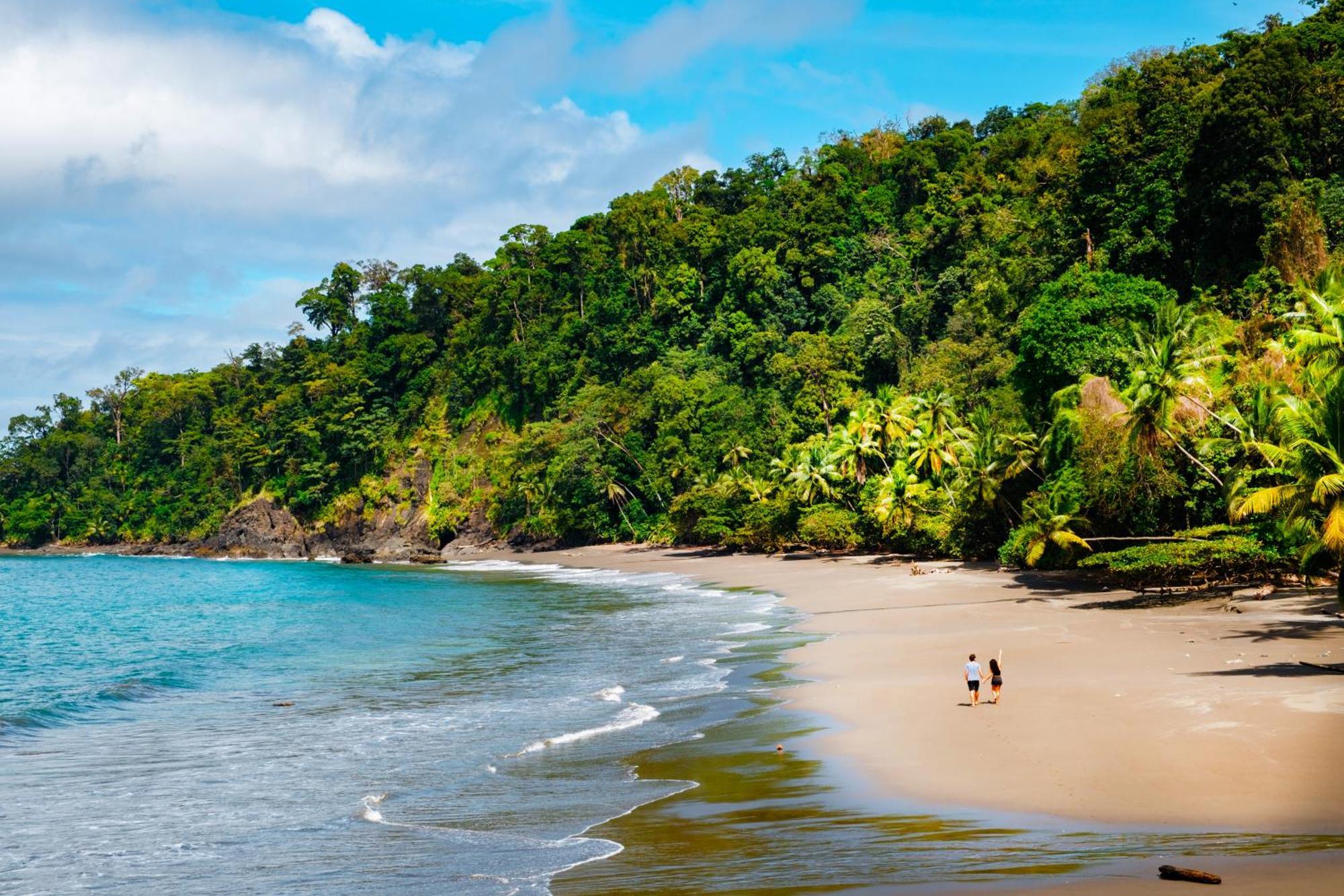 Corcovado Wilderness Lodge By Scp San Pedrillo Экстерьер фото